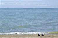 Северный берег Иссык-Куля. Пляж в Ананьево.